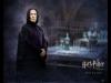 Гарри Поттер и орден Феникса