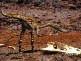 Прогулки с динозаврами, Walking with Dinosaurs