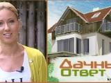 Дарья Субботина - ведущая программы 