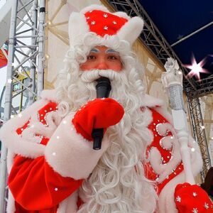 Федункив Новогодняя Минус
