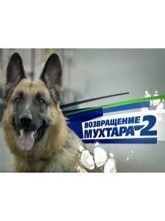 Возвращение Мухтара Новые Серии 2022 Года Возвращение Мухтара Новые Серии 2022 Года